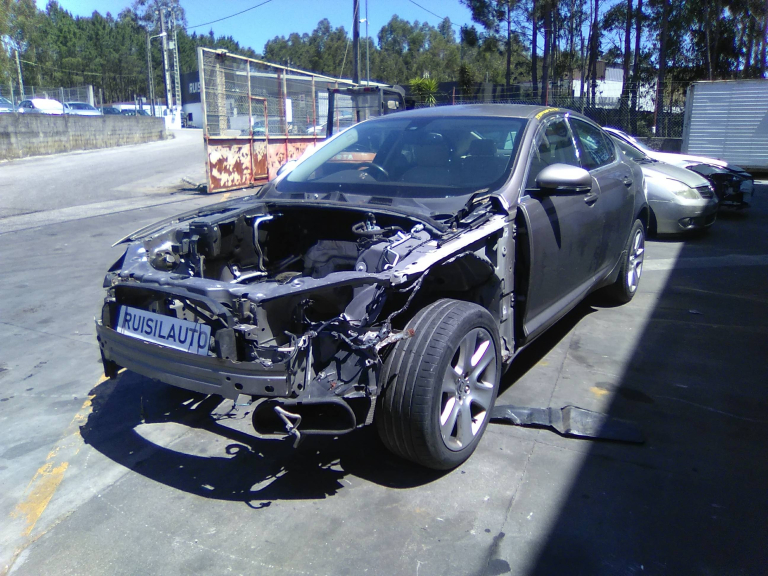 XF  JAGUAR - ID V_V7257