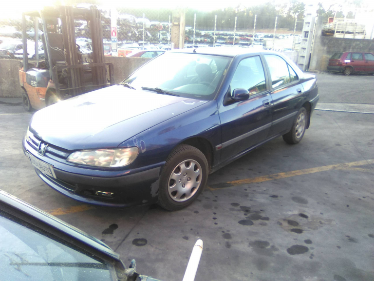 406  PEUGEOT - ID V_V4208