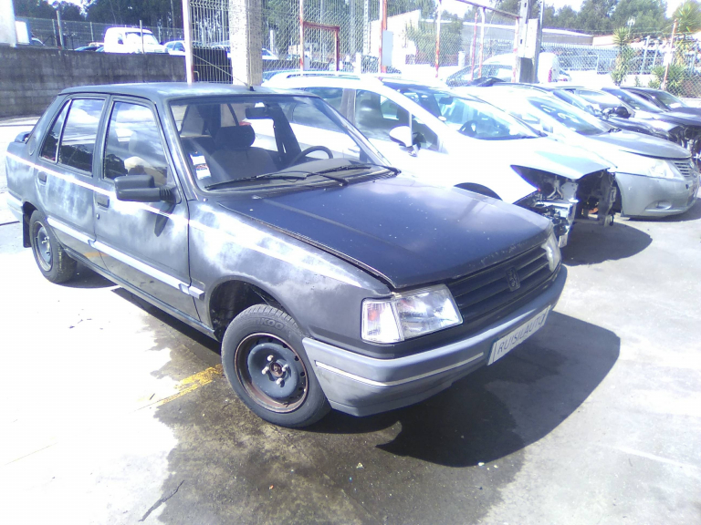 309 II  PEUGEOT - ID V_V4360