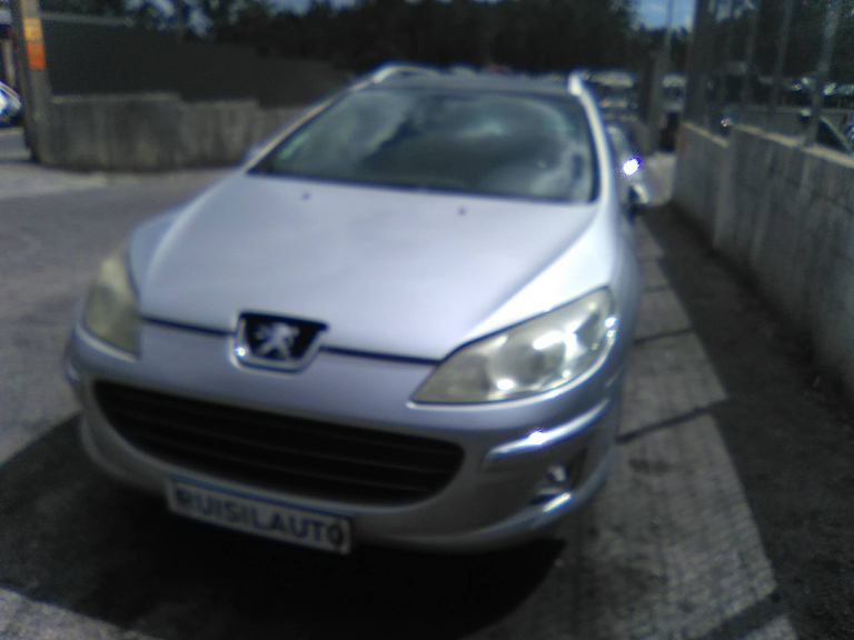 407 SW Caixa/Combi  PEUGEOT - ID V_V6408