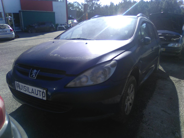 307  PEUGEOT - ID V_V6814