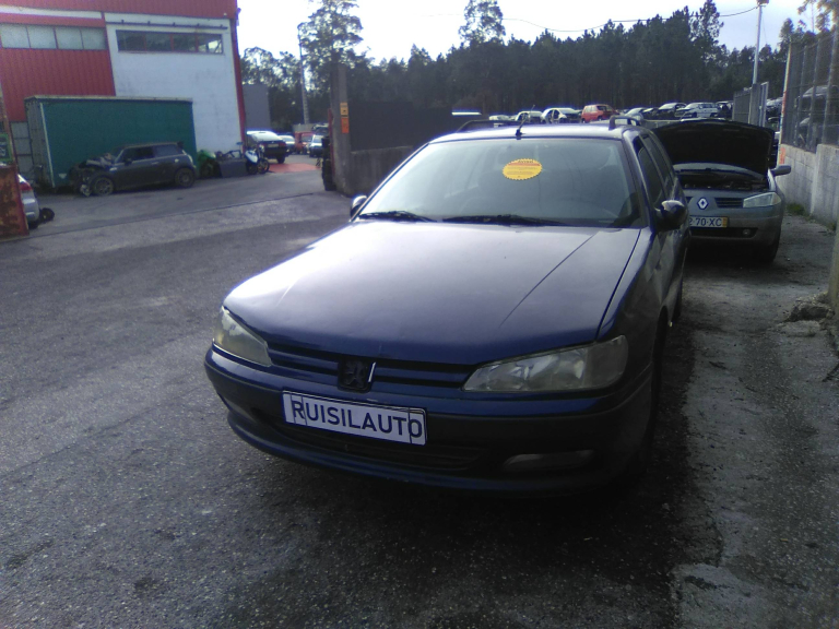 406 Break  PEUGEOT - ID V_V6824
