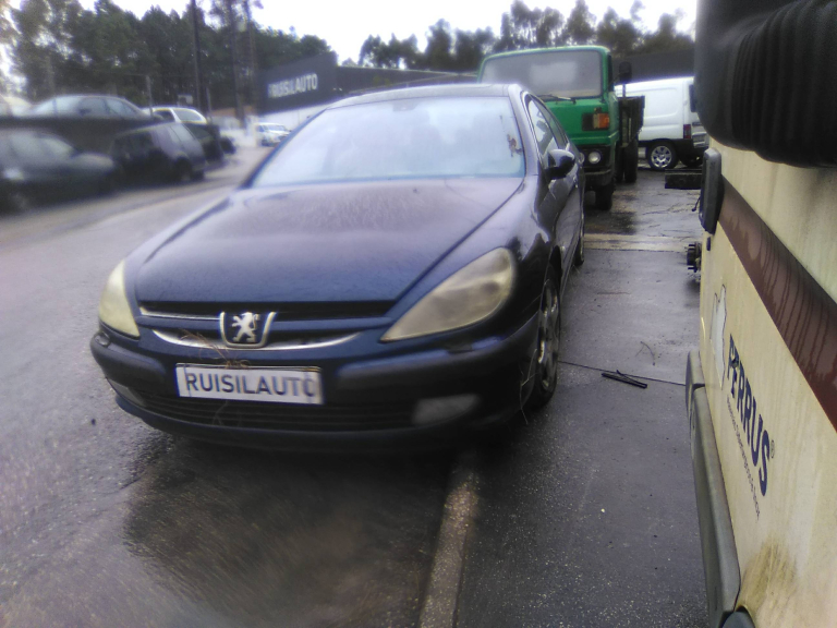 607  PEUGEOT - ID V_V7815