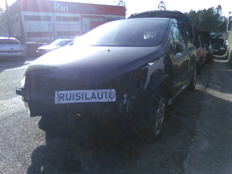 307  PEUGEOT - ID V_V7666