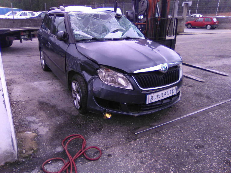 FABIA II  SKODA - ID V_V3648