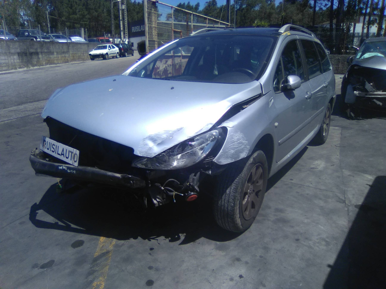 307  PEUGEOT - ID V_V7382