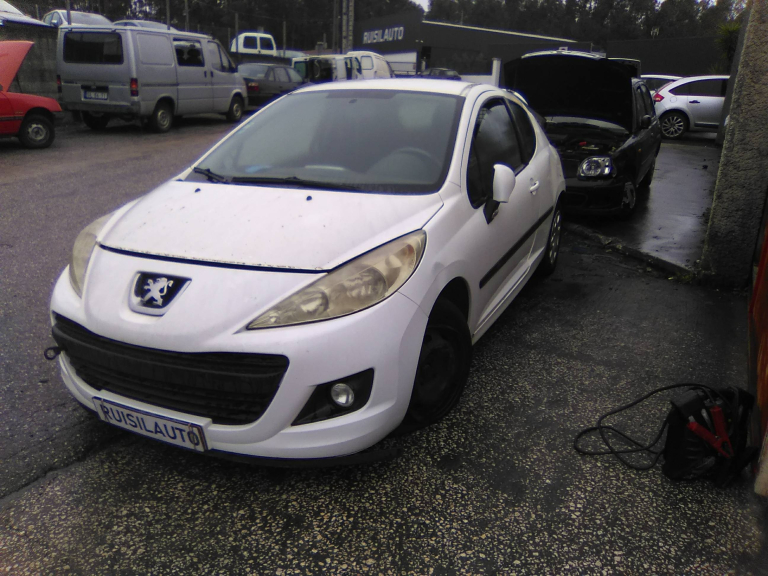 207  PEUGEOT - ID V_V6911