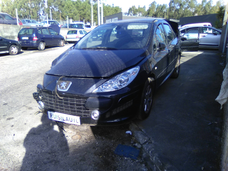 307  PEUGEOT - ID V_V7683