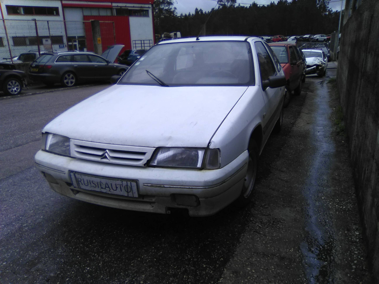 ZX  CITROEN - ID V_V6067