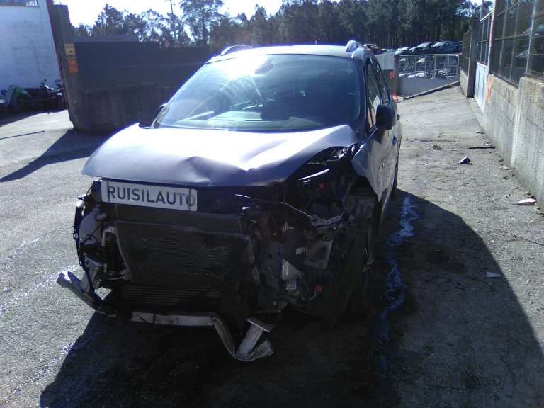 GRAND SCÉNIC III  RENAULT - ID V_V7428