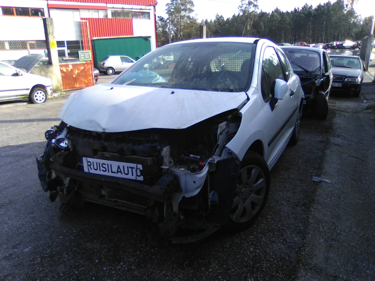 207  PEUGEOT - ID V_V6586