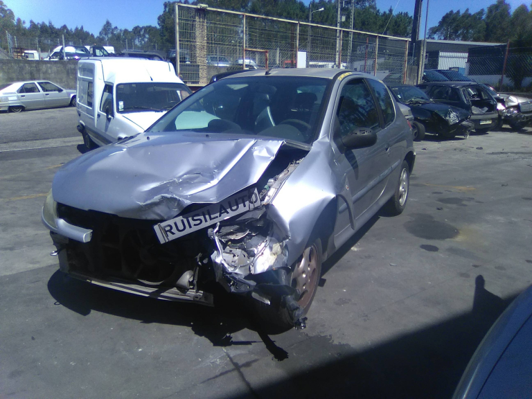 206 Hatchback  PEUGEOT - ID V_V7387