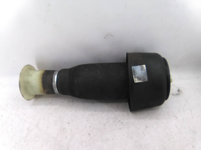 Suspensão Pneumática Trás Esquerdo BMW - ID S_16736000
