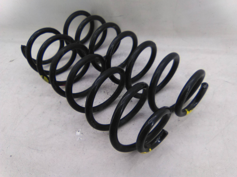 Conjunto Molas Suspensão Trás RENAULT - ID S_18699317