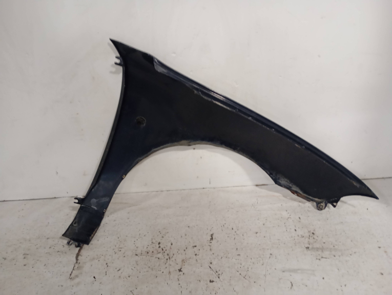 Guarda Lamas Frente Esquerdo ROVER 200 Hatchback (RF) | 95 - 00 Imagem-1