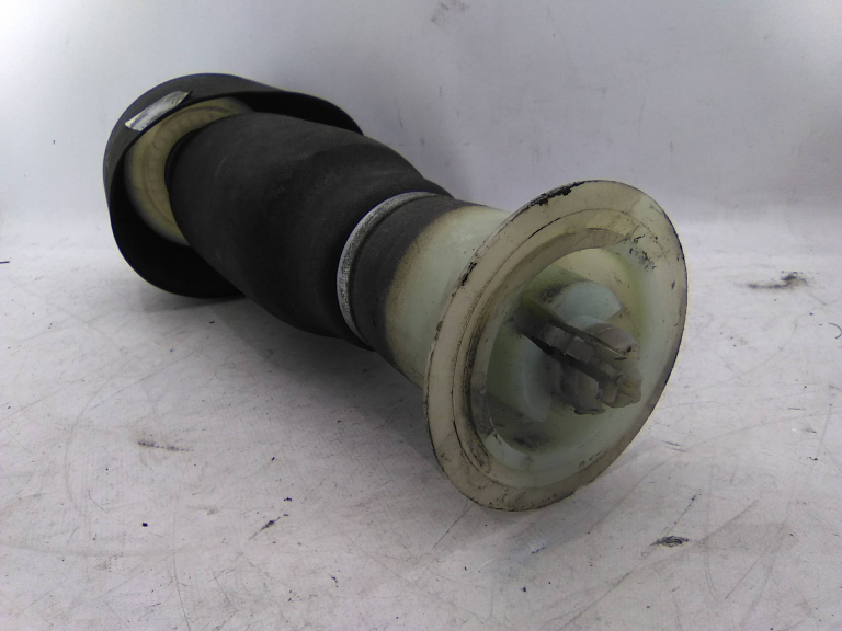 Suspensão Pneumática Trás Esquerdo BMW 5 Touring (F11) | 09 - 17 Imagem-2