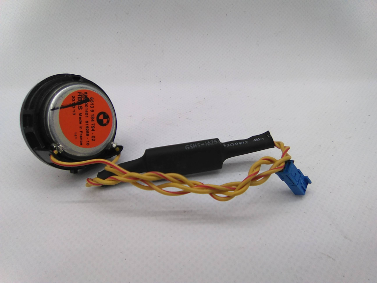 Coluna Som Tejadilho Direito BMW 5 (F10) | 09 - 16 Imagem-1