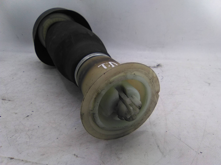 Suspensão Pneumática Trás Direito BMW 5 Touring (F11) | 09 - 17 Imagem-2