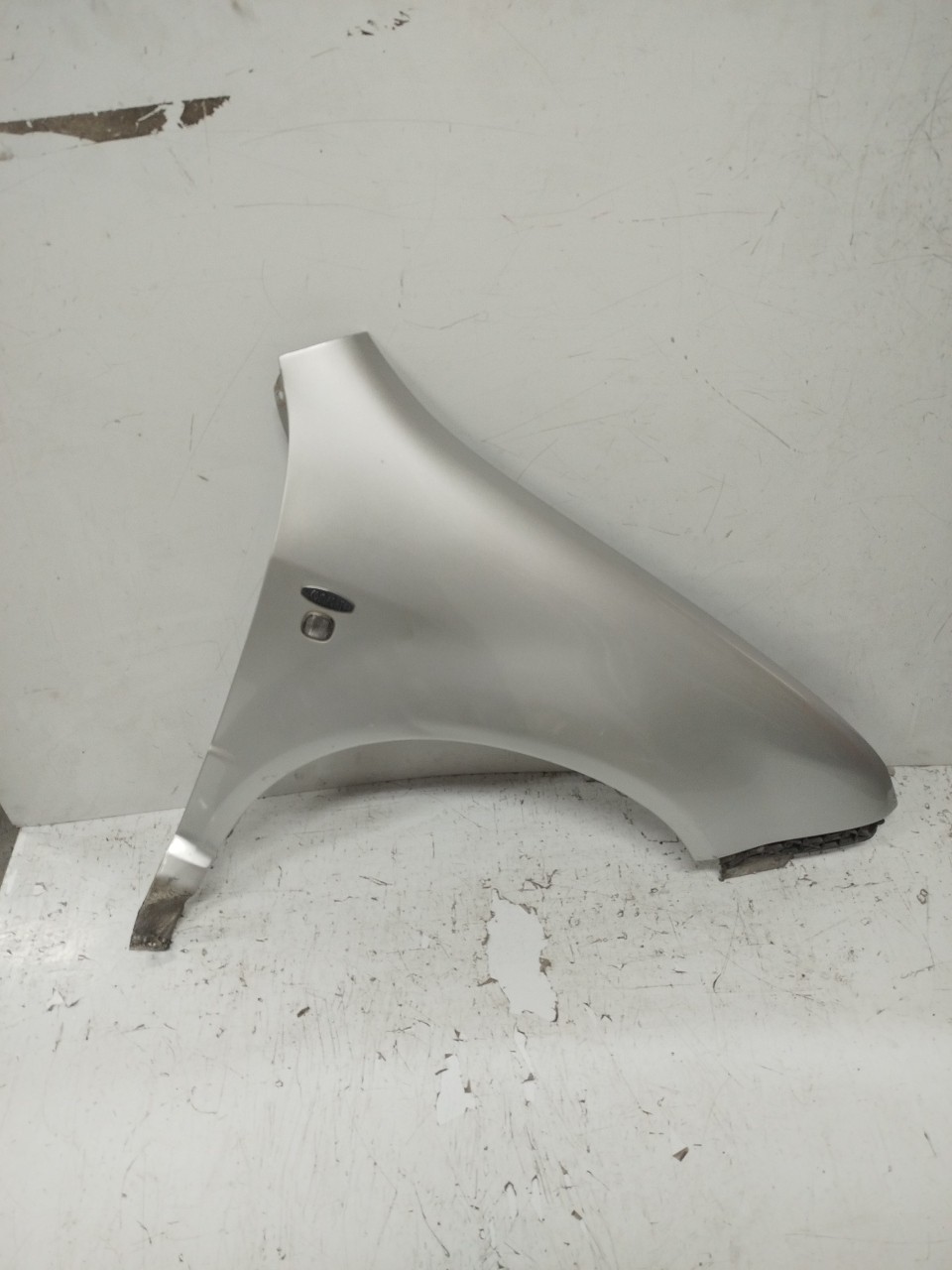 Guarda Lamas Dto SKODA FABIA I  de 1999 a 2008