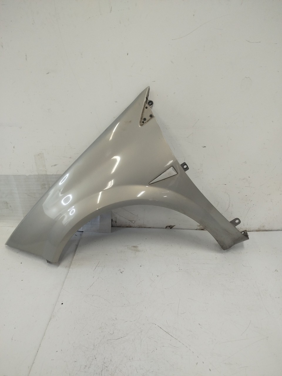 Guarda Lamas Esq RENAULT MEGANE II  de 2001 a 2012