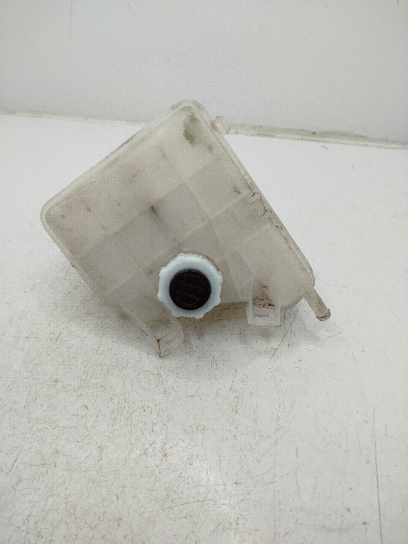 Reservatorio de agua do radiador RENAULT LAGUNA I (B56_, 556_) | 93 - 02 Imagem-1