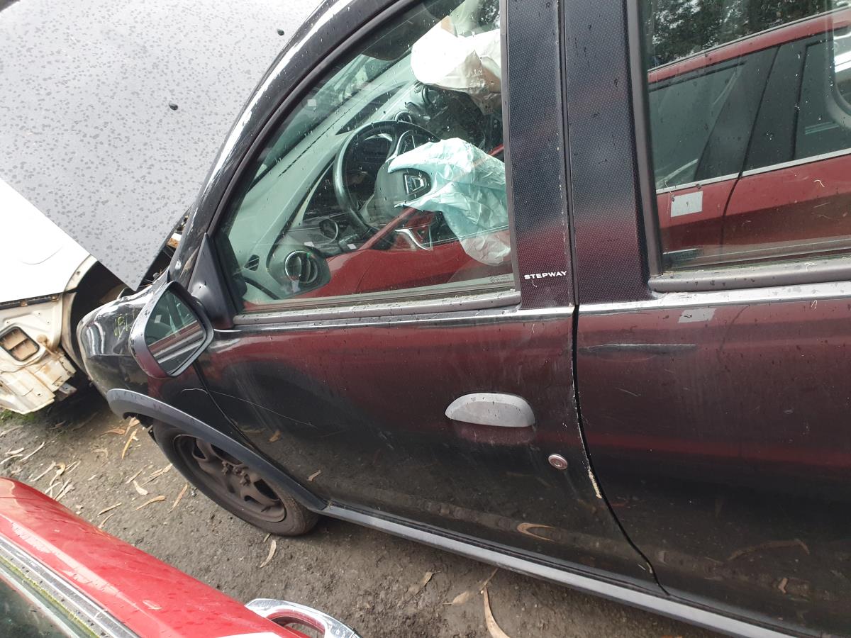 Puerta Delantera Izquierda DACIA SANDERO II | 12 - 