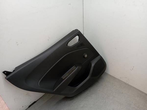 Rear Left Door Panel RENAULT CLIO V (BF_) | 19 - 
