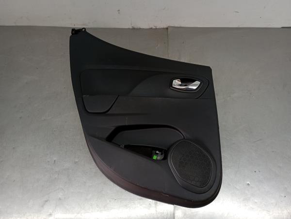 Rear Left Door Panel RENAULT CLIO IV (BH_) | 12 - 