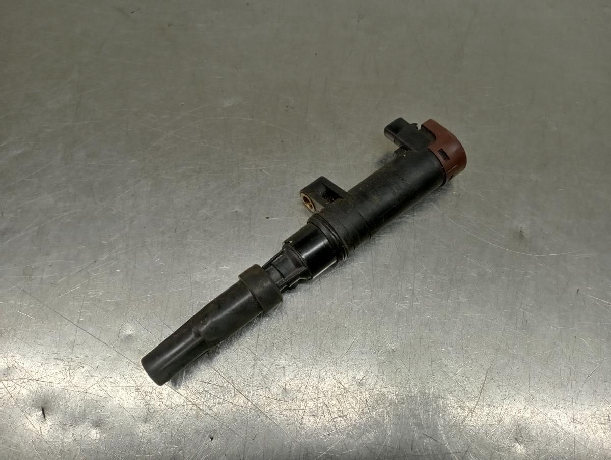 Bobina de Ignição  RENAULT CLIO III (BR0/1, CR0/1) | 05 - 