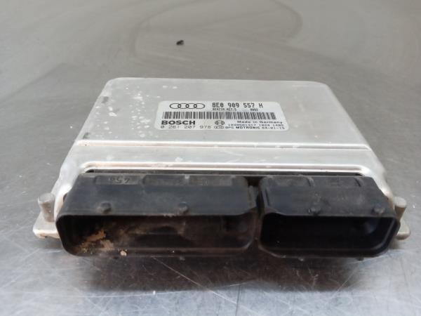 Engine Control Unit (ECU) AUDI A4 (8EC, B7) | 04 - 08