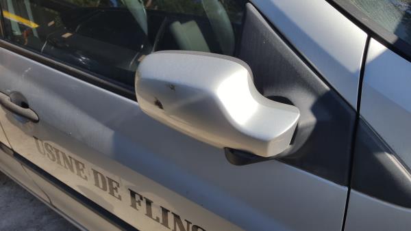 Right Door Electric Mirror