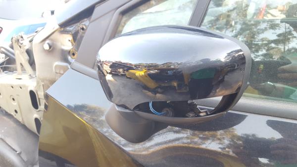 Left Door Electric Mirror