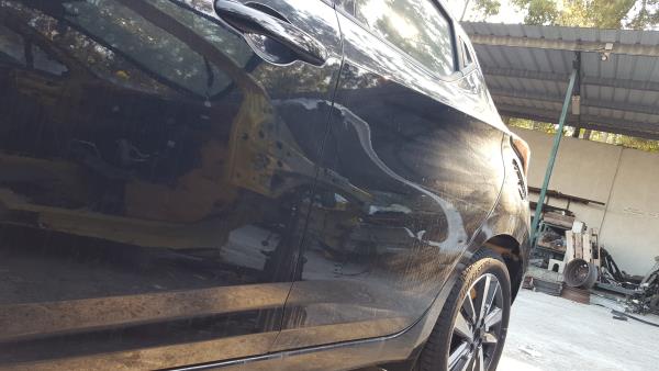 Rear Left Door