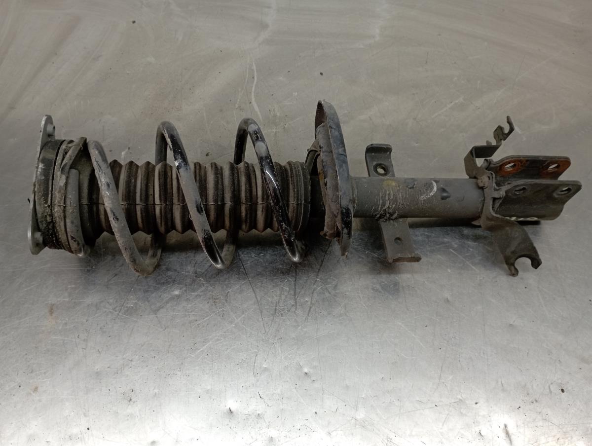 Front Left Shock Absorber RENAULT CLIO IV (BH_) | 12 - 
