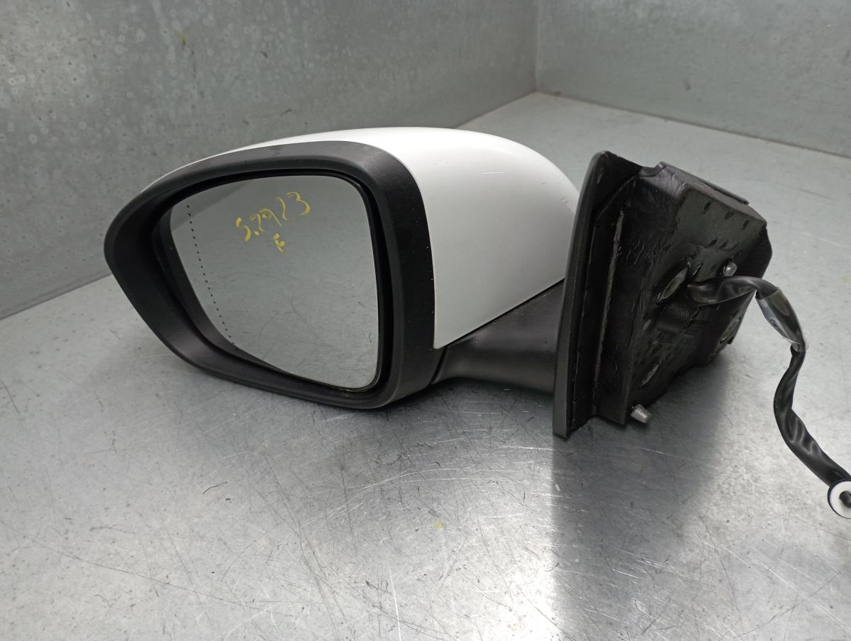Specchio Retrovisore Elettrico Sinistra RENAULT MEGANE IV Hatchback (B9A/M/N_) | 15 - 
