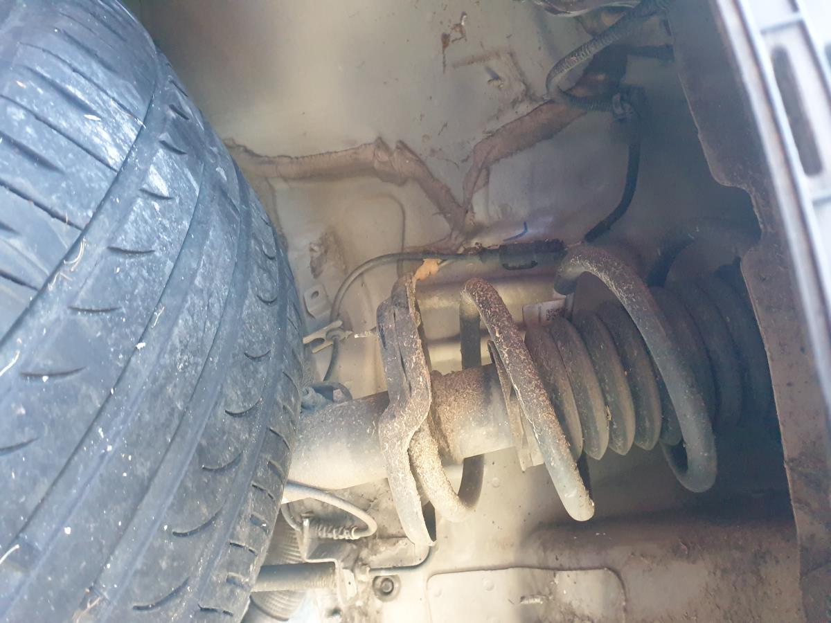 Amortiguador Delantero Derecho FIAT 500X (334_) | 14 - 