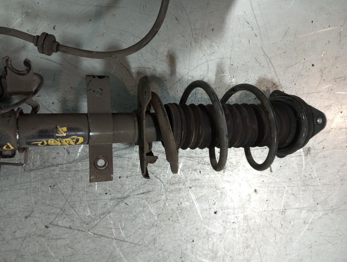 Right Front Shock Absorver RENAULT CLIO IV (BH_) | 12 - 