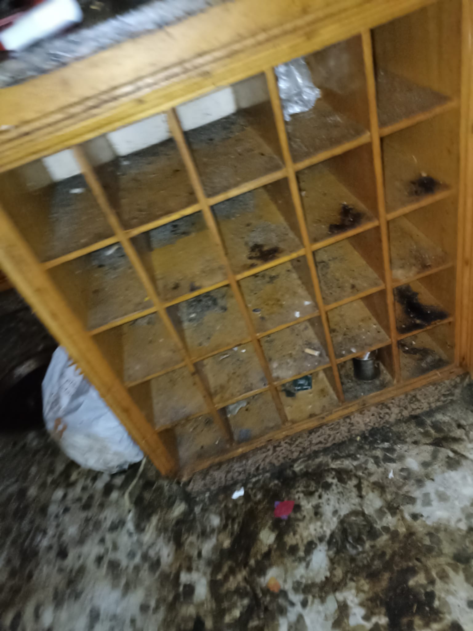 Vaciado de pisos en Llagostera | ¡Transforme su hogar en un espacio limpio y ordenado!