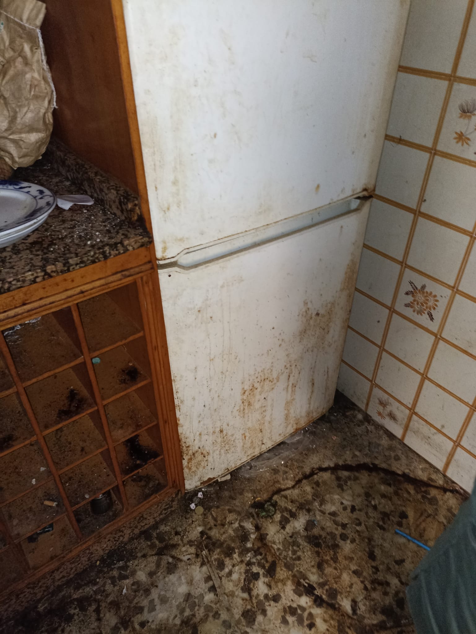 Recogida y reciclaje de muebles, electrodomésticos y basura en Cantallops - ¡La mejor opción para ti y el medio ambiente!