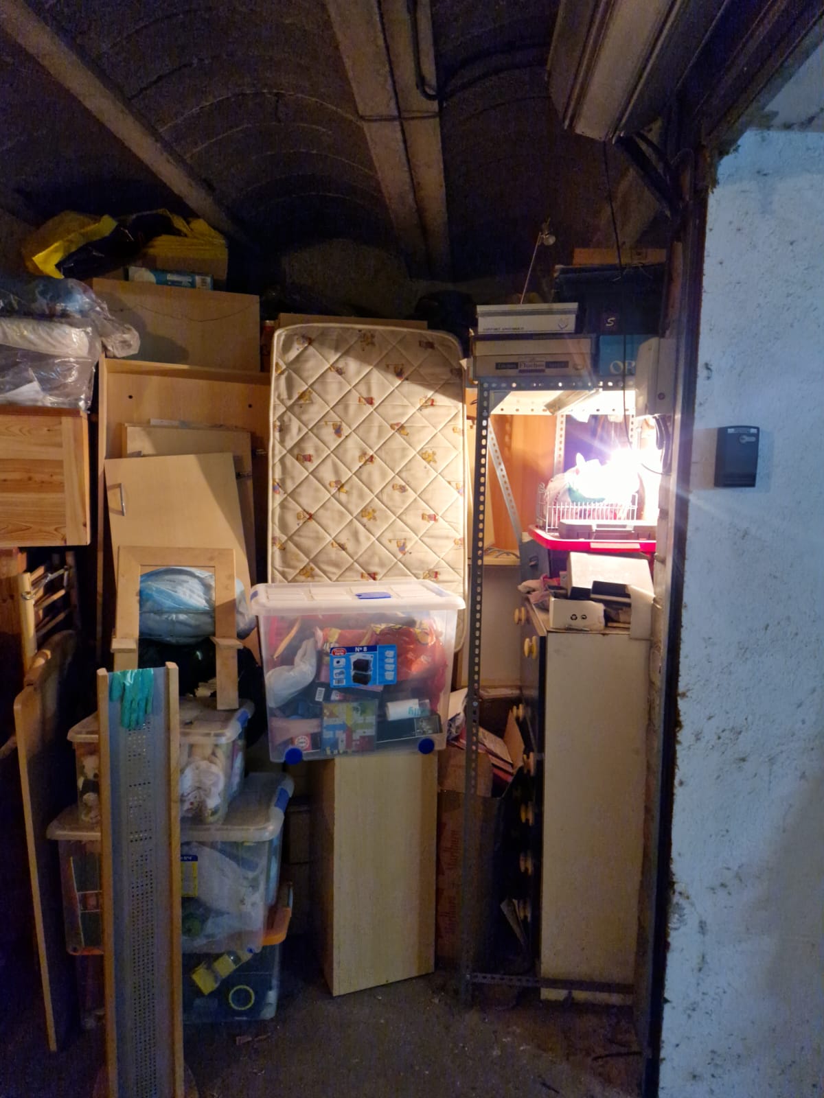 Vaciado de pisos en Camós | ¡Transforme su hogar en un espacio limpio y ordenado!