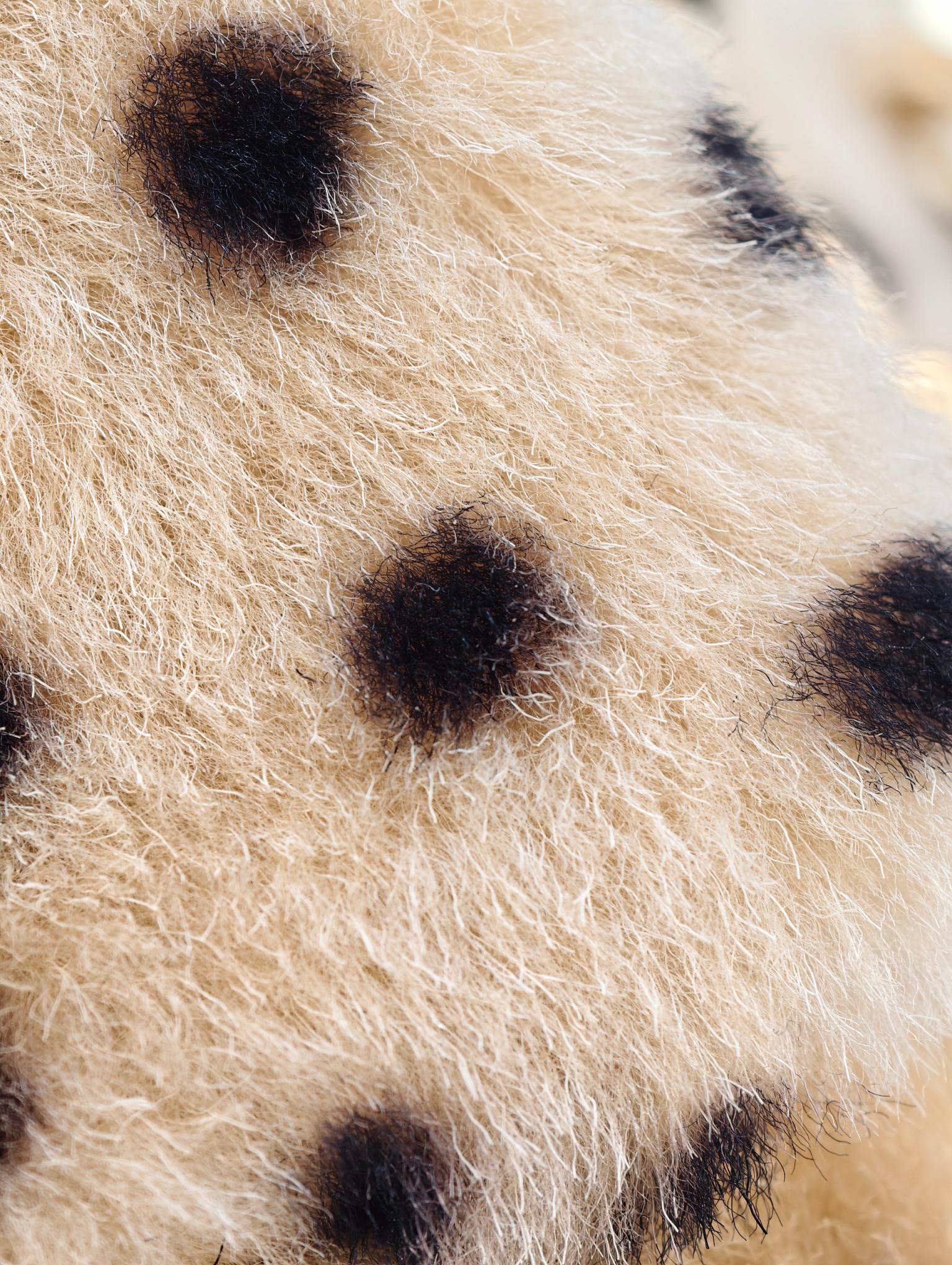 Plush 25bag mini - Image 31