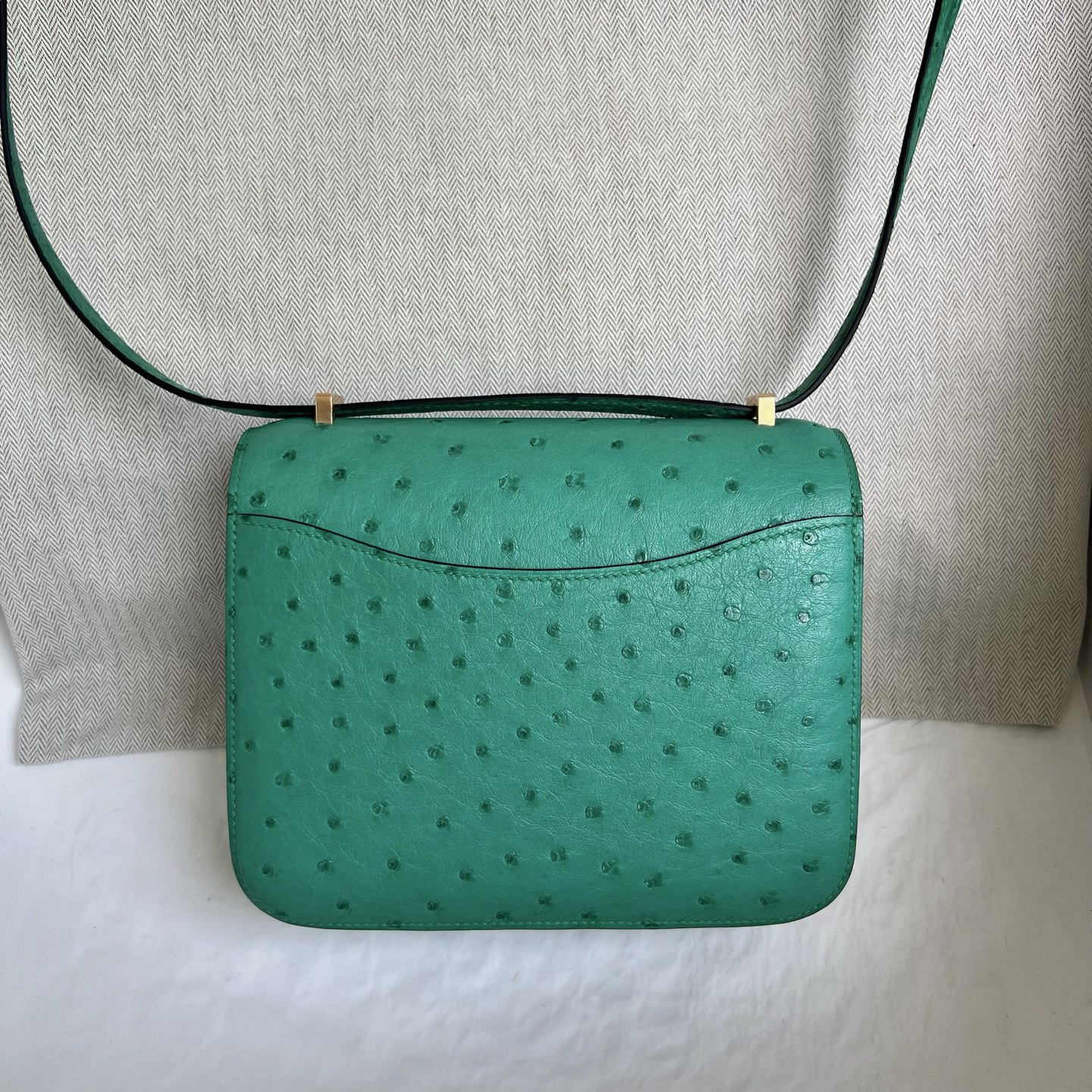 Spot Constance 18cm Ostrich original imported kk South African ostrich skin Color: U1 Verona Green Fully handmade wax stitching Gold buckle Stock - Image 12