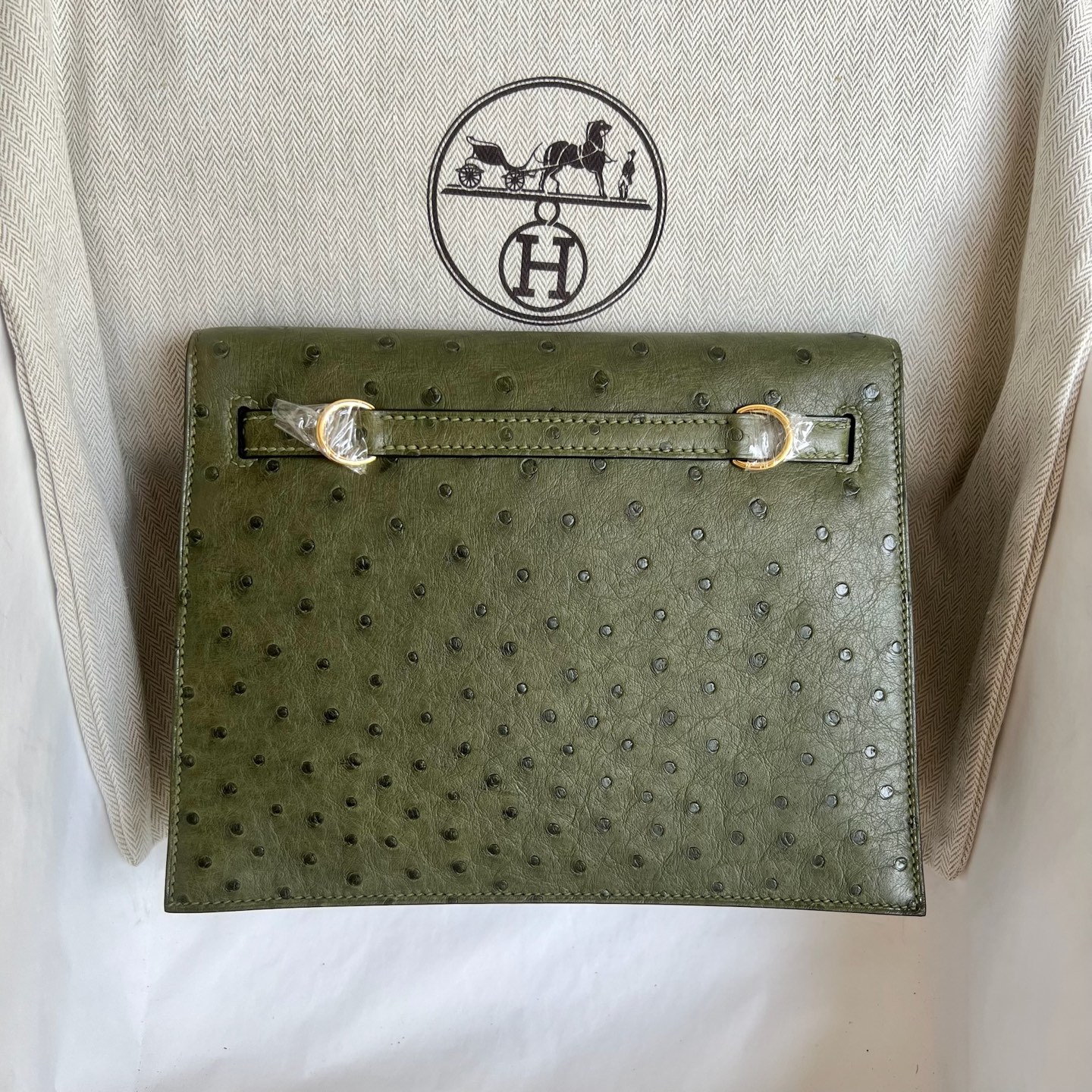 Kellydanse 22cm Ostrich Color: 6H olive green, fully handmade wax stitching Gold buckle customized✈️ - Image 14