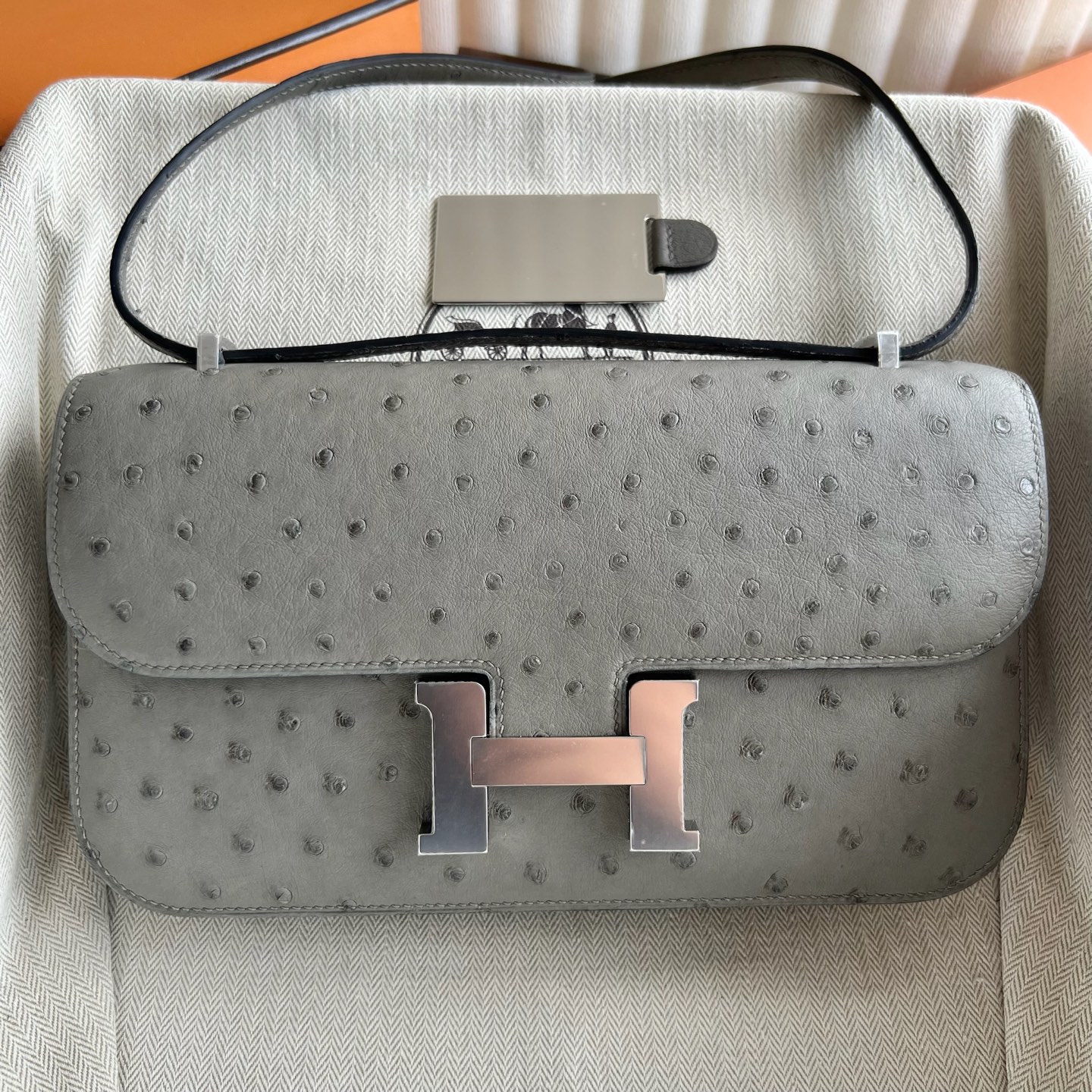 Constance 23cm Elan🪞Mirror Ostrich Color: 0L Cumulonimbus Gray Phw Fully handmade wax stitching Silver buckle customized✈️ - Image 9