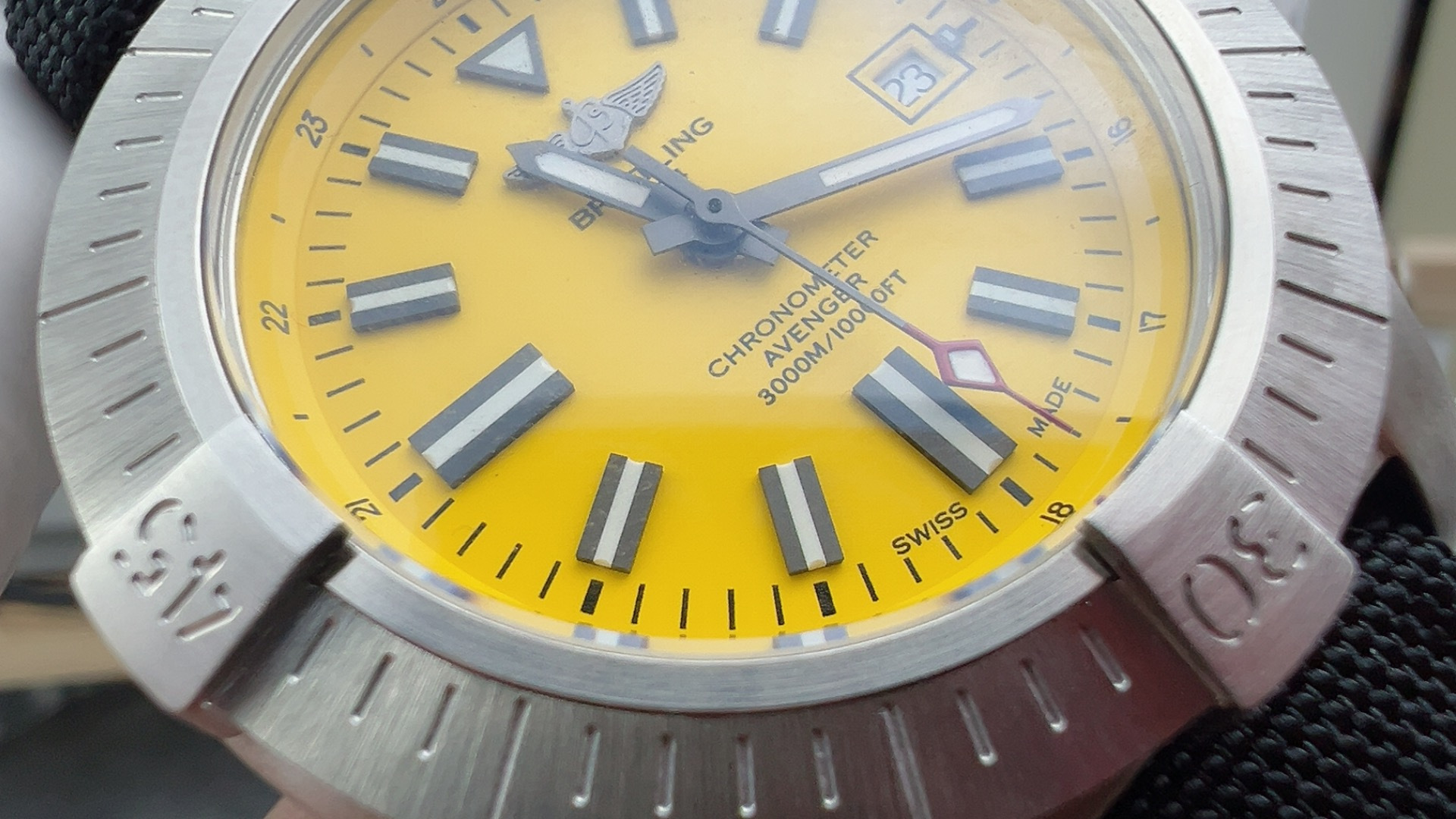 BLs Yellow Wolf - Image 3