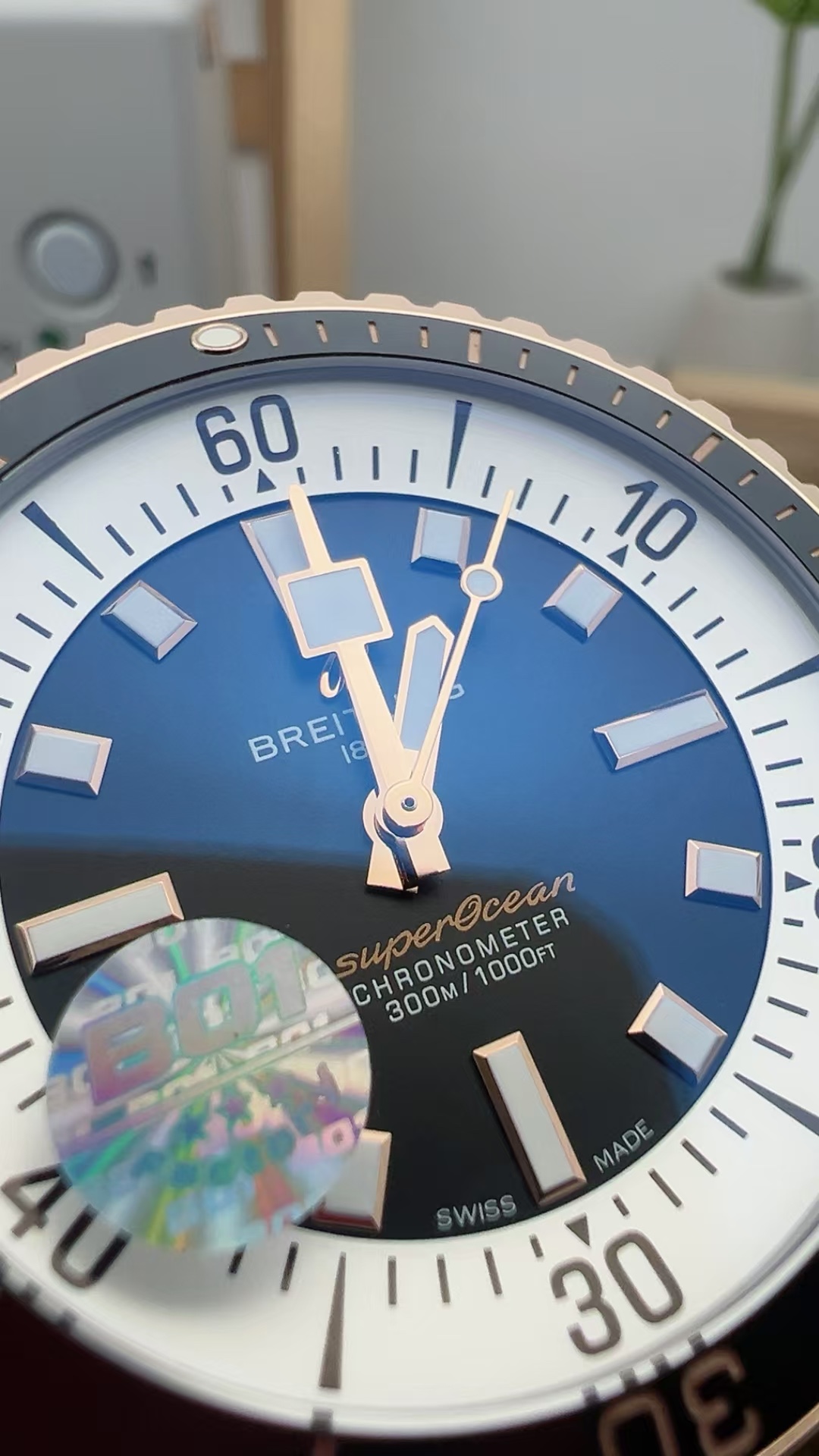 bls ocean culture - Image 3