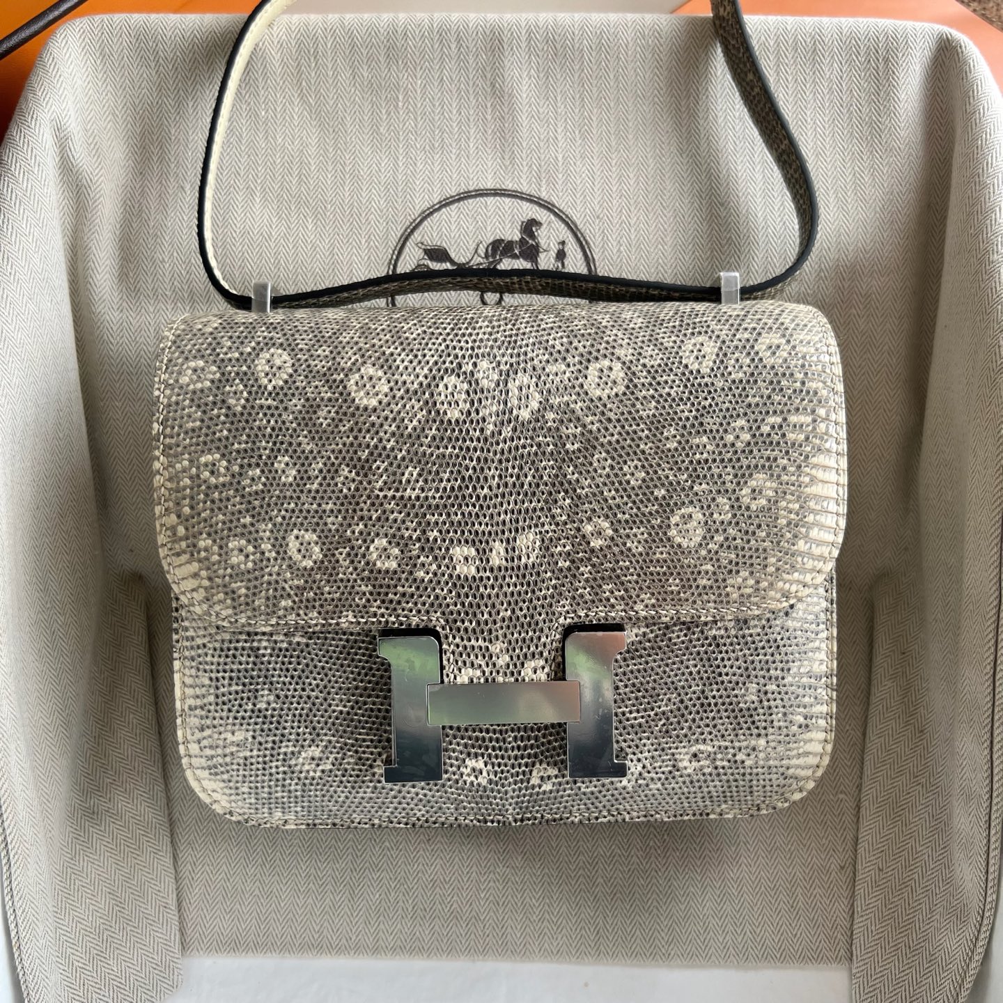 Constance 18cm Lizard original imported lizard skin Color: 1B natural ombre handmade wax thread sewing Silver buckle customized✈️ - Image 10