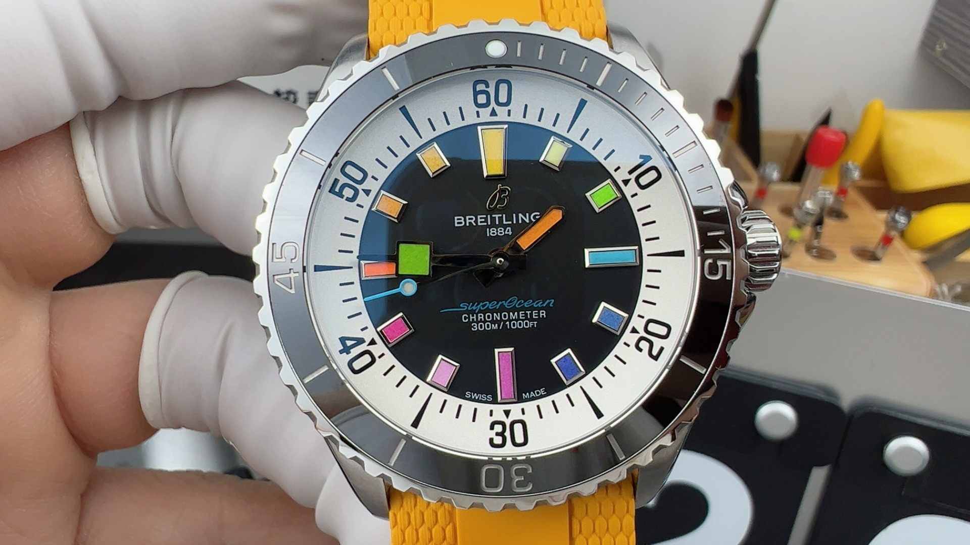 BLS Caiding Ocean - Image 2
