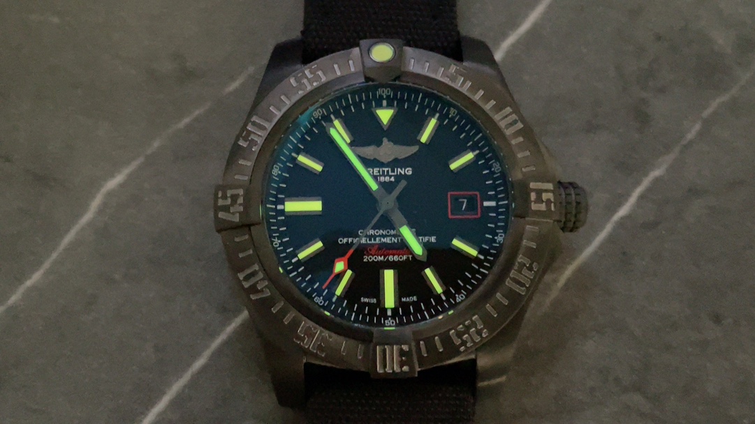 BLS Blackbird - Image 9