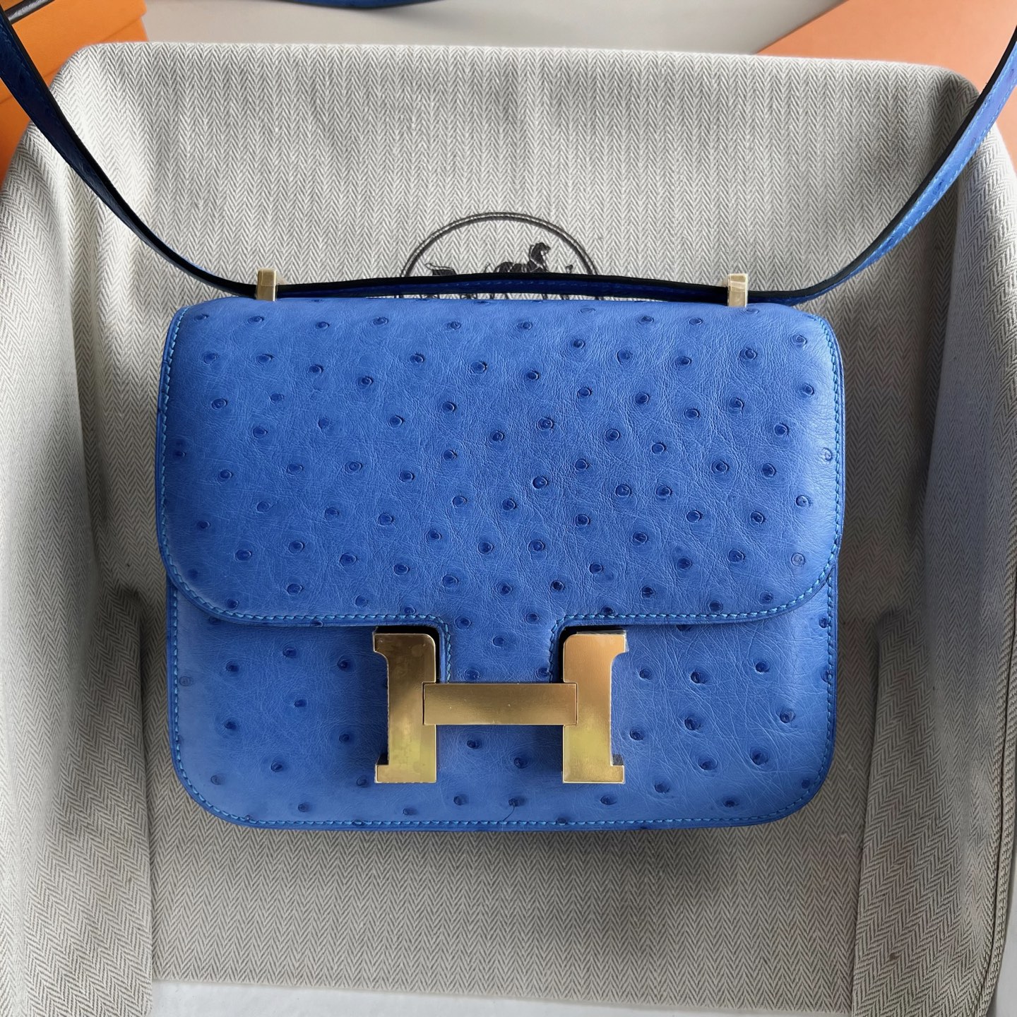 Constance 18cm Ostrich Color: O7 cornflower blue Bleuet, fully handmade wax stitching Gold buckle customized✈️ - Image 11